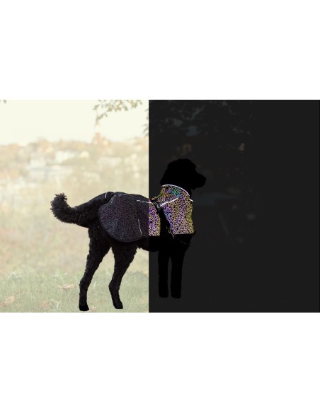 Manteau réfléchissant  sur toute la surface pour une visibilité optimale - pour chien