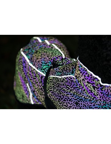 Manteau réfléchissant  sur toute la surface pour une visibilité optimale - pour chien