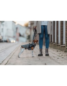 Manteau Pontis reflect gris avec harnais intégré TRIXIE