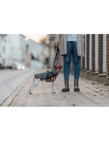 Manteau Pontis reflect gris avec harnais intégré TRIXIE