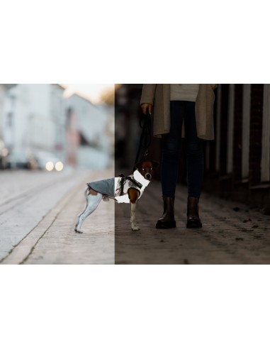 Manteau Pontis reflect gris avec harnais intégré TRIXIE