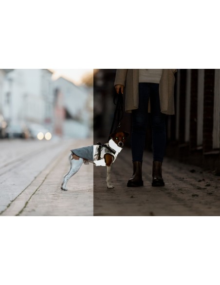 Manteau Pontis reflect gris avec harnais intégré TRIXIE