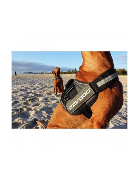 Harnais Ezydog Convert Noir Charcoal