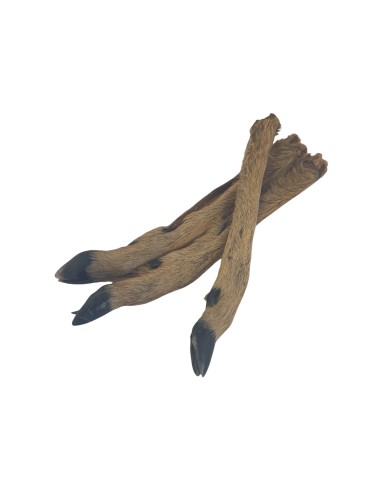 PATTE DE CHEVREUIL AVEC POILS -  VRAC-  - friandises naturelles pour chien vendue à l'unité