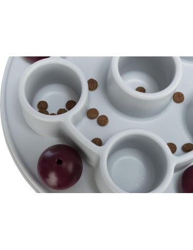 JEU POUR CHAT PENTAGON