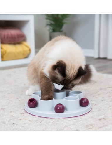JEU POUR CHAT PENTAGON