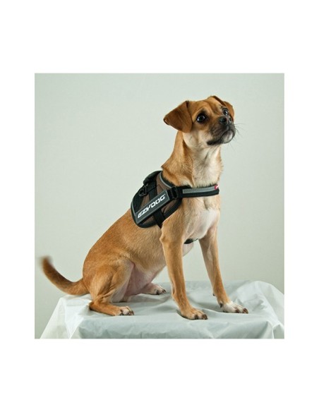 Harnais Ezydog Convert Noir Charcoal