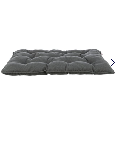 Coussin Caliente Gris foncé