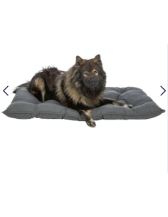 Coussin Caliente Gris foncé 2