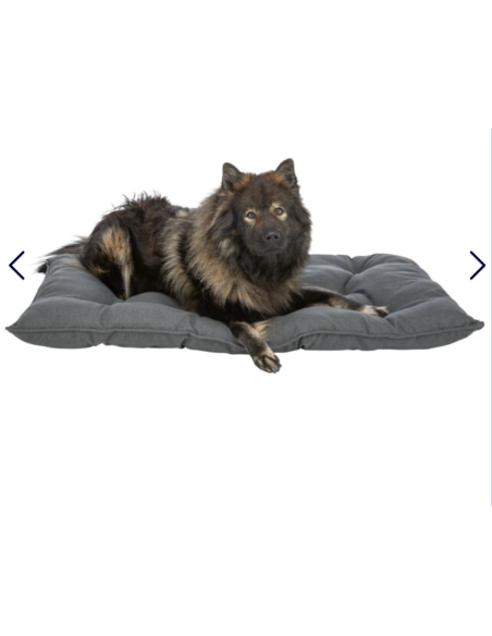 Coussin Caliente Gris foncé