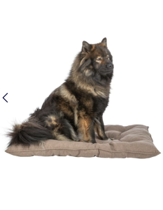 Coussin Caliente Brun 2