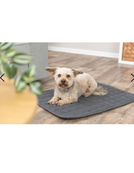 Matelas Caliente Gris foncé