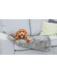 Couverture Levy grise 2