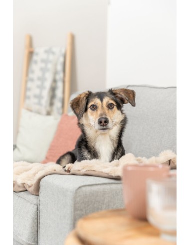 Couverture Elli peluche Sable