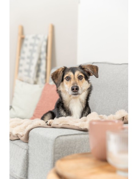 Couverture Elli peluche Sable