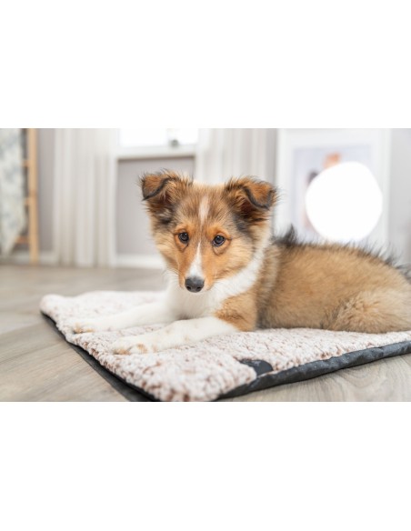 Matelas Calida avec couche thermique blanc-brun