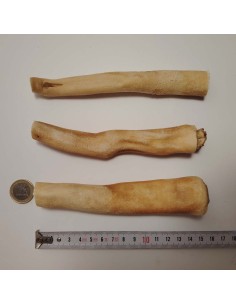 Queue de bœuf 15cm 2