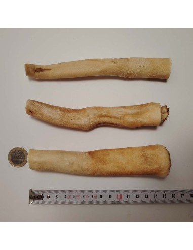 Queue de bœuf 15cm