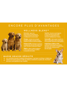 Croquette vétérinaires Peptide+ tout stade de vie Vitalité Hypoallergénique - INSTINCTIV CROC 2