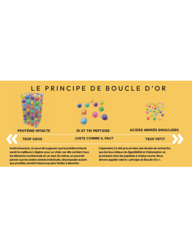 Croquette vétérinaires Peptide+ tout stade de vie Vitalité Hypoallergénique - INSTINCTIV CROC