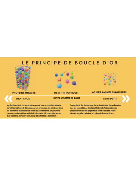 Croquette vétérinaires Peptide+ tout stade de vie Vitalité Hypoallergénique - INSTINCTIV CROC