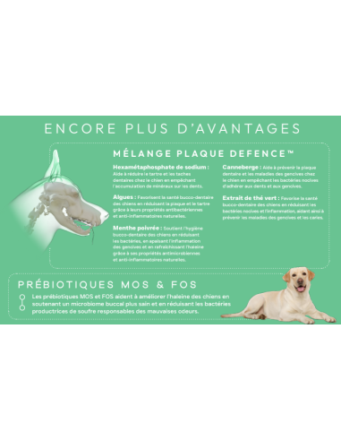 Croquette vétérinaires Peptide+ Chien adulte Soins Dentaires - INSTINCTIV CROC