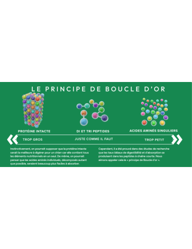 Croquette vétérinaires Peptide+ Chien adulte Soins Dentaires - INSTINCTIV CROC