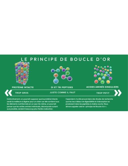 Croquette vétérinaires Peptide+ Chien adulte Soins Dentaires - INSTINCTIV CROC