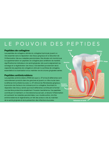 Croquette vétérinaires Peptide+ Chien adulte Soins Dentaires - INSTINCTIV CROC
