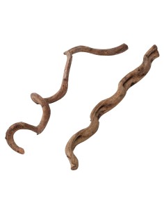 Liane pour Terrarium - 75cm