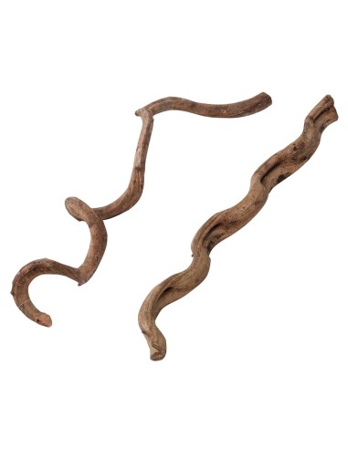 Liane pour Terrarium - 75cm