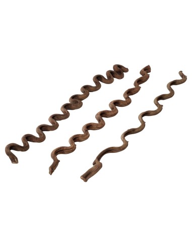 Liane pour Terrarium - 75cm