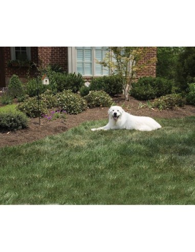 Dispositif anti-aboiement Petsafe "Outdoor Bark Control"