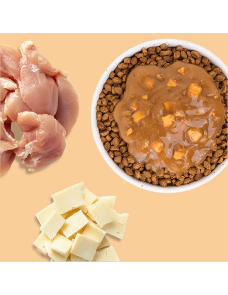 Brique chats E&I sauce poulet cheddar