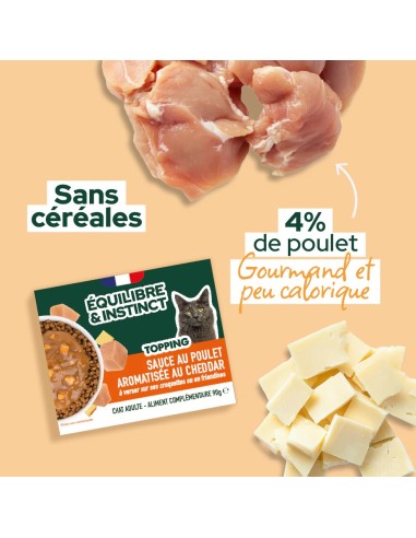 Brique chats E&I sauce poulet cheddar