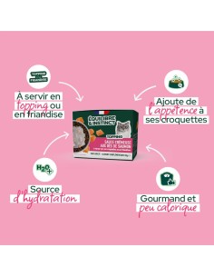 Brique chat E&I sauce crémeuse saumon 2