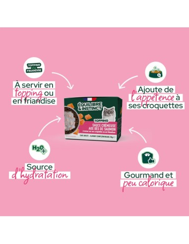 Brique chat E&I sauce crémeuse saumon