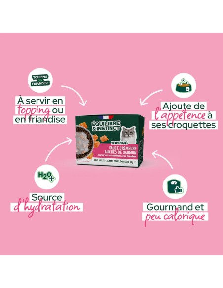 Brique chat E&I sauce crémeuse saumon