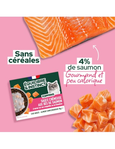 Brique chat E&I sauce crémeuse saumon