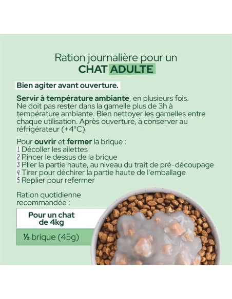 Brique chat E&I sauce crémeuse saumon