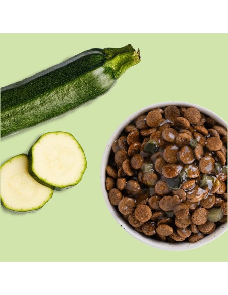 Brique Chien E&I Sauce aux courgettes