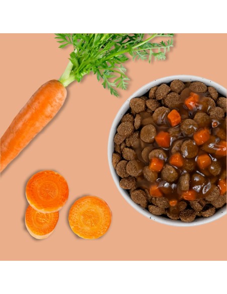 Brique chien E&I Sauce aux carottes