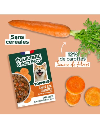 Brique chien E&I Sauce aux carottes