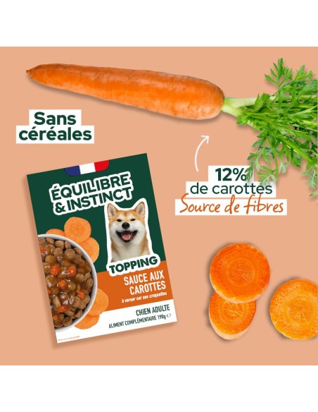 Brique chien E&I Sauce aux carottes