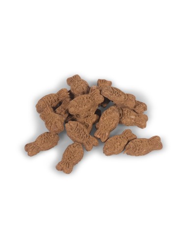 Biscuits poisson mini pour chats et petits chiens 70g