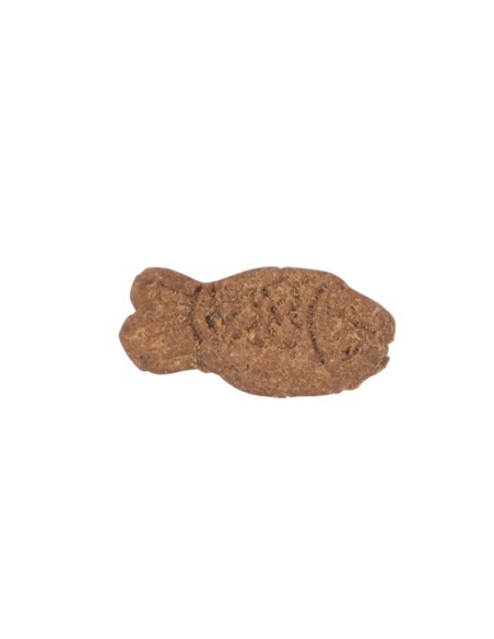 Biscuits poisson mini pour chats et petits chiens 70g