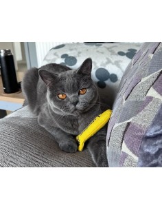 King Catnip hareng 11,5cm 2