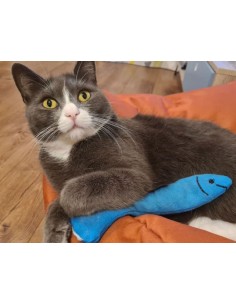 King Catnip Sardine 19,80cm 2