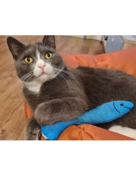 King Catnip Sardine 19,80cm