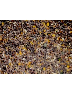 Toc 'n Roll Poules pondeuses granulés 20 kg 2